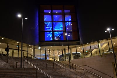 DSC_3525.JPG