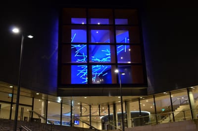 DSC_3528.JPG