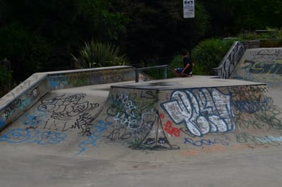DSC_1411.JPG