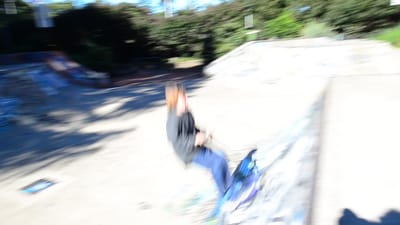 DSC_3985.MOV
