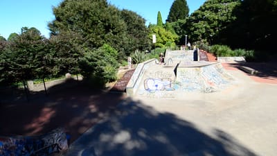 DSC_3994.MOV