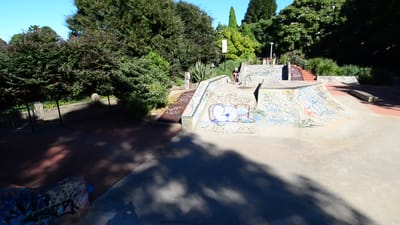 DSC_3996.MOV