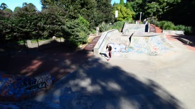 DSC_3997.MOV