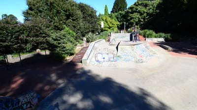 DSC_3998.MOV