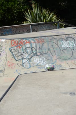 DSC_1808.jpg