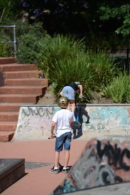 DSC_1817.jpg