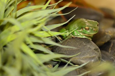 DSC_1492.JPG