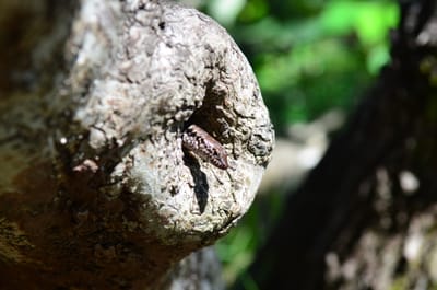 DSC_1674.JPG