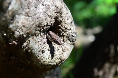 DSC_1675.JPG