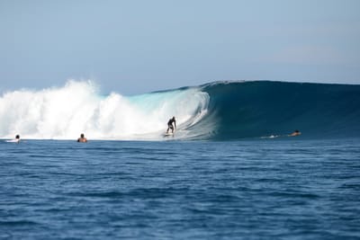 DSC_9843.JPG