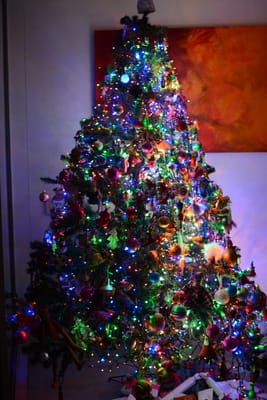 DSC_2125.jpg