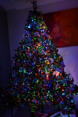 DSC_2128.jpg