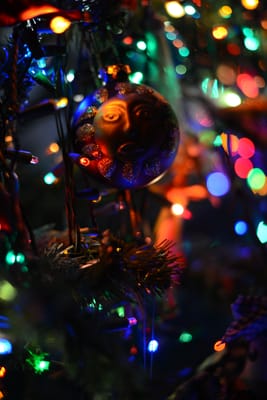 DSC_2132.jpg