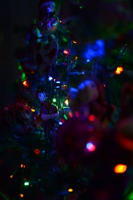 DSC_2135.jpg