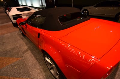 DSC_4908.JPG