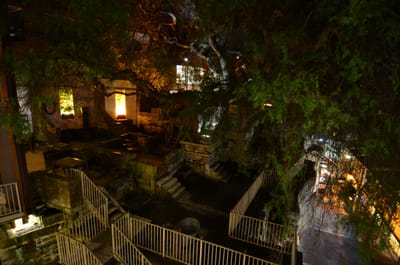 DSC_4921.JPG