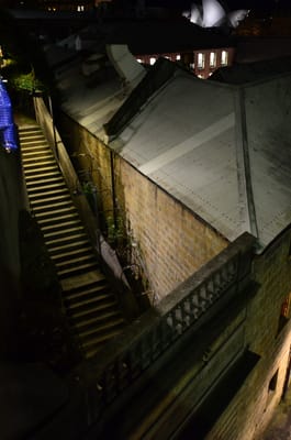 DSC_4938.JPG