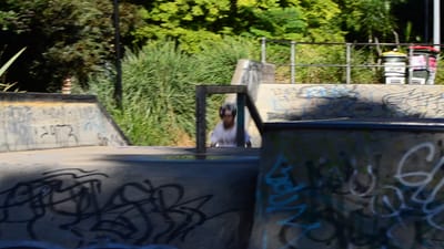 DSC_3390.MOV