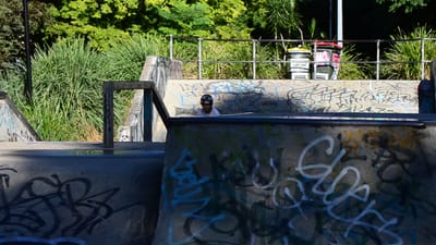 DSC_3391.MOV