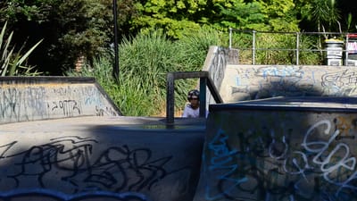 DSC_3394.MOV