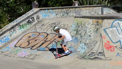 DSC_3445.MOV