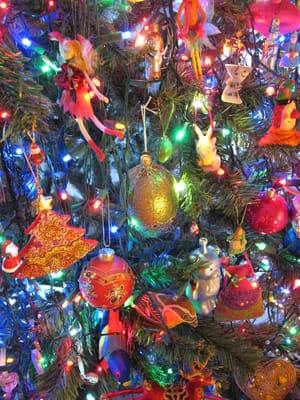 IMG_7754.JPG