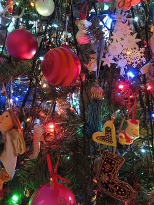 IMG_7755.JPG