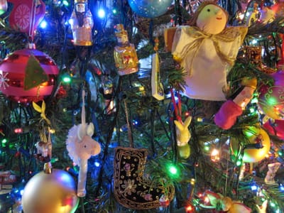 IMG_7756.JPG