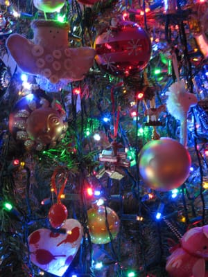 IMG_7797.JPG