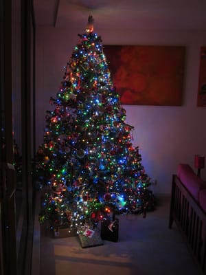 IMG_7812.JPG