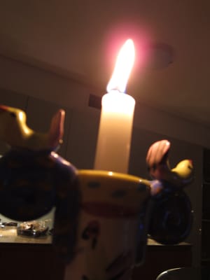IMG_7817.JPG