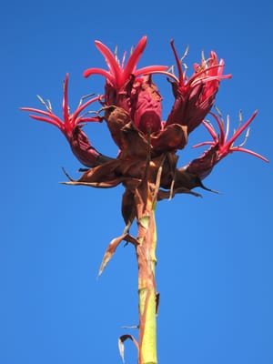 IMG_8609.JPG
