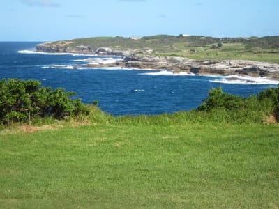 IMG_8617.JPG