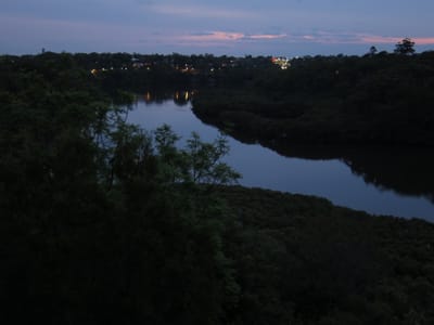 IMG_7720.JPG