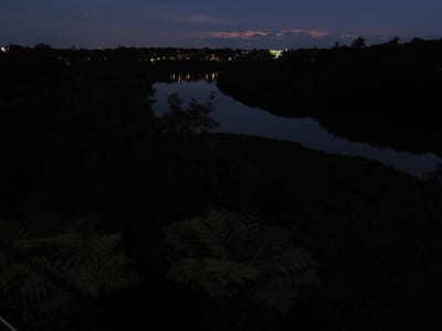 IMG_7721.JPG