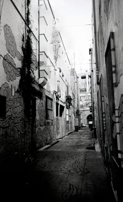 img028.jpg