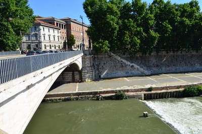 DSC_4948.JPG