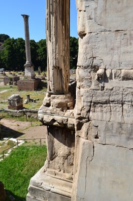 DSC_4960.JPG