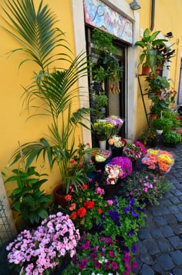 DSC_5024.JPG
