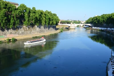 DSC_5045.JPG