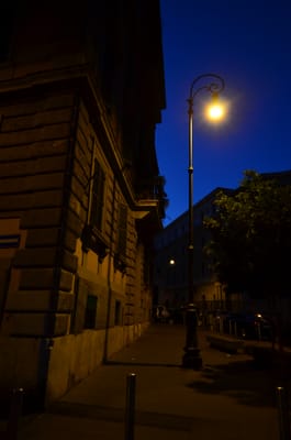DSC_5064.JPG