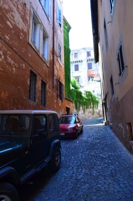 DSC_5350.JPG