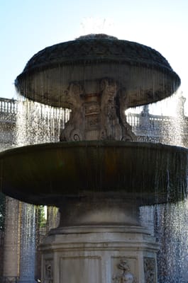 DSC_5102.JPG