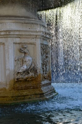 DSC_5105.JPG