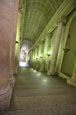 DSC_5229.JPG