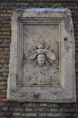 DSC_5279.JPG