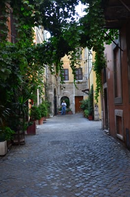 DSC_5818.JPG