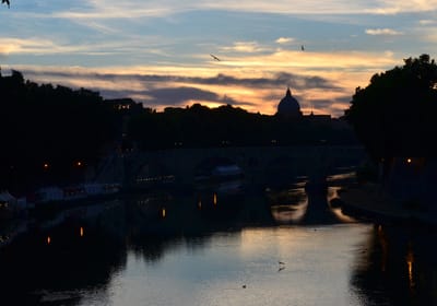 DSC_5828-2.jpg