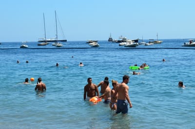 DSC_8250.JPG