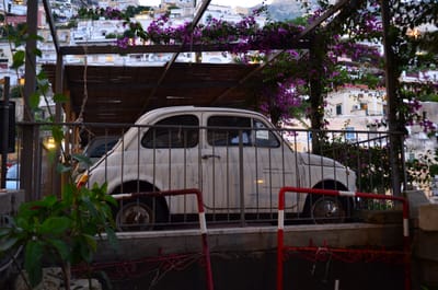DSC_8296.JPG